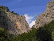 Sa Gubia
