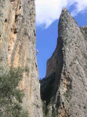 Sa Gubia