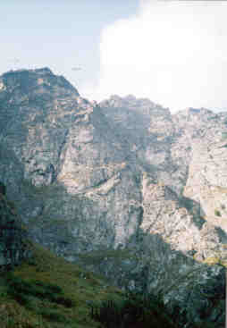 Mal Mlynr