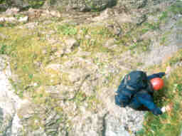 Travnat nstup